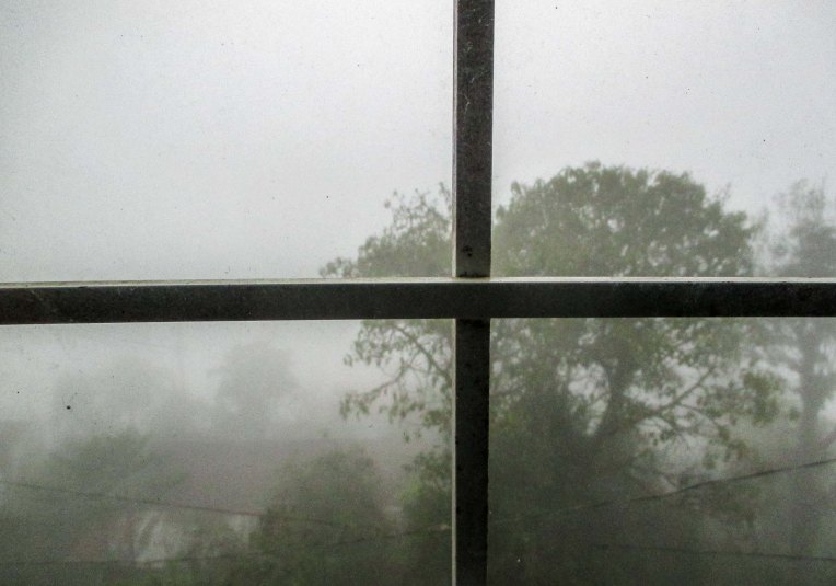 niebla en la ventana